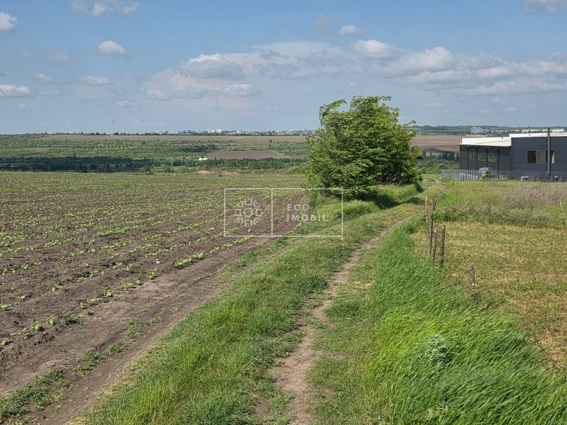 ecoimobil-property